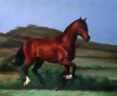 2104-T2 | 50cm x 61cm | cheval galopant 
